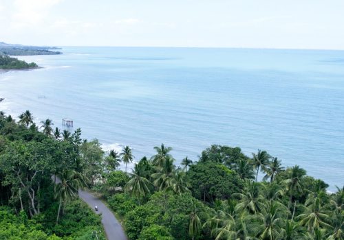 DJI_0220.MP4_snapshot_00.15.455